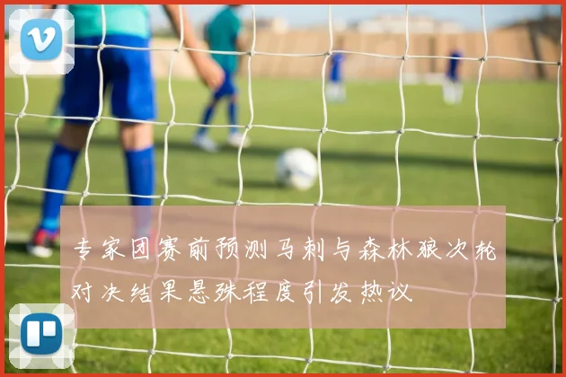 专家团赛前预测马刺与森林狼次轮对决结果悬殊程度引发热议